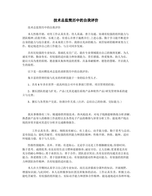 技术总监简历中的自我评价