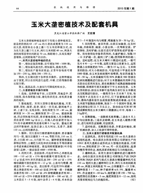 玉米大垄密植技术及配套机具