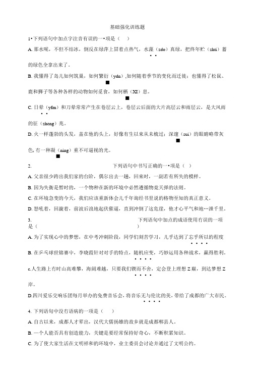 基础强化训练题.doc