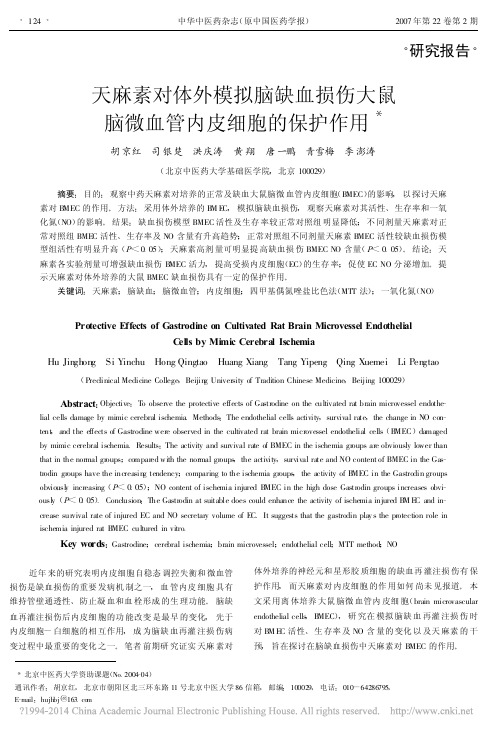 天麻素对体外模拟脑缺血损伤大鼠脑微血管内皮细胞的保护作用_胡京红