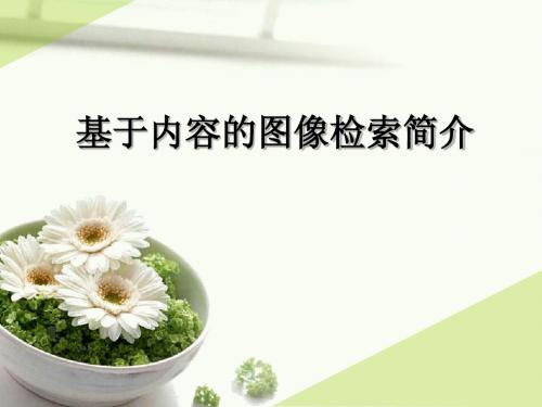 CBIR图像检索