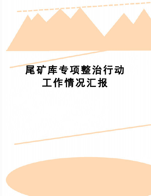 【精品】尾矿库专项整治行动工作情况汇报