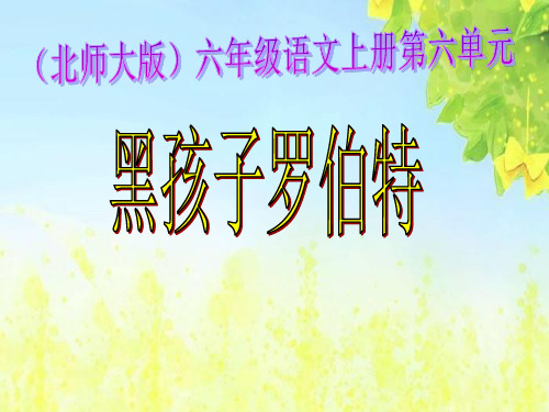 北师大版第十一册《黑孩子罗伯特》PPT课件2PPT、优质教学课件
