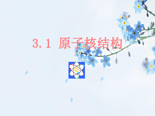 原子核结构PPT教学课件