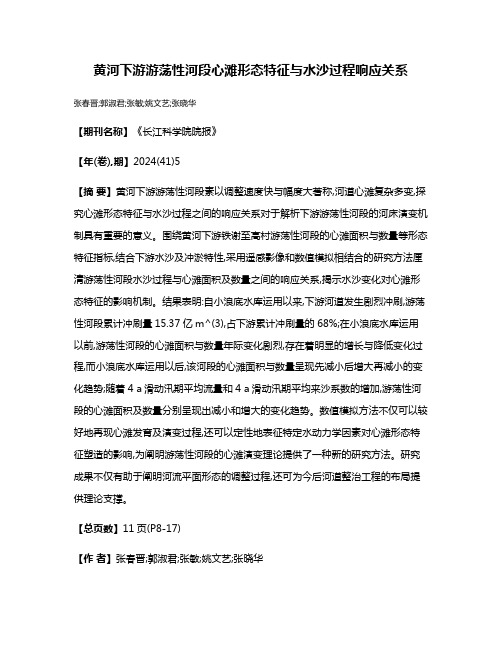 黄河下游游荡性河段心滩形态特征与水沙过程响应关系