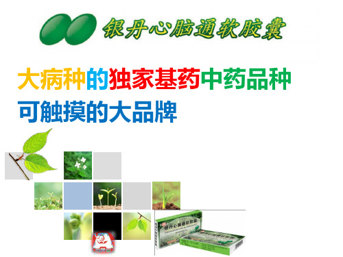 银丹心脑通市场分析