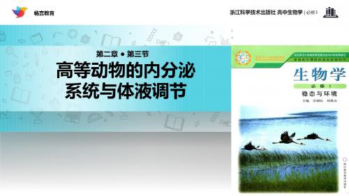 高中生物浙科版必修3 2.3 教学课件 《高等动物的内分泌系统与体液调节》(浙科)