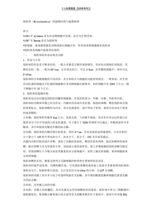 线粒体病理知识