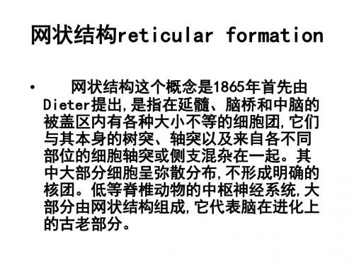 网状结构reticular formation PPT课件