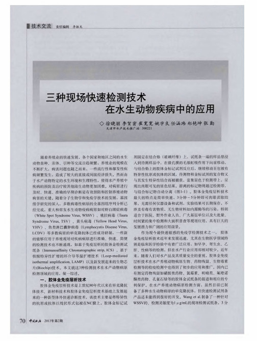 三种现场快速检测技术在水生动物疾病中的应用