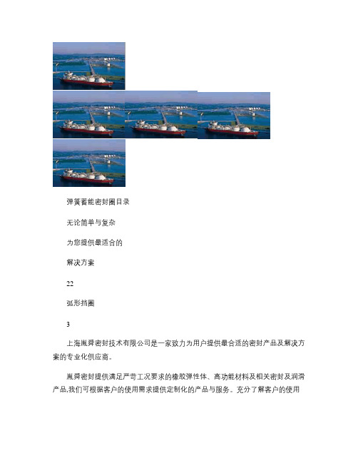 弹簧蓄能密封圈样本-141031_图文.