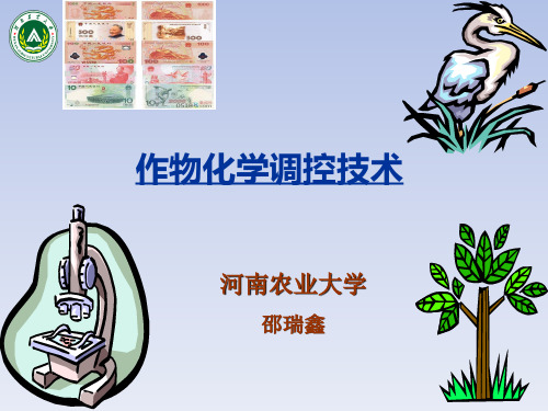 作物化学调控技术在农业生产中的应用F
