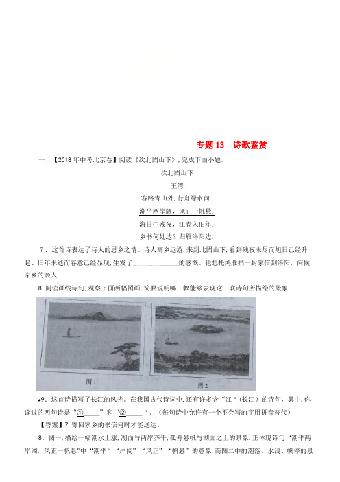 中考语文试题分项版解析汇编(第02期)专题13诗歌鉴赏(含解析)(2021-2022学年)