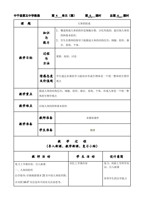 人体的组成教案第二课时