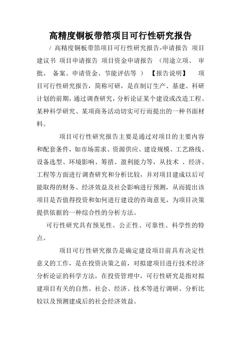 高精度铜板带箔项目可行性研究报告.doc