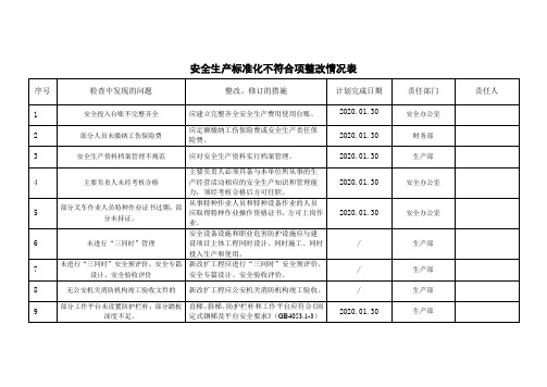 13安全生产标准化不符合项整改情况表