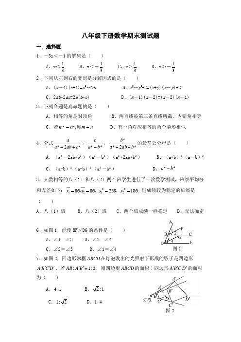 北师大版八年级下册数学期末考试卷(含答案)及复习提纲+练习题