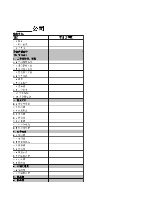公司年度计划资金表