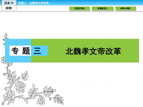 2016-2017学年(人民版)高中历史选修1课件：3.1励精图治的孝文帝改革
