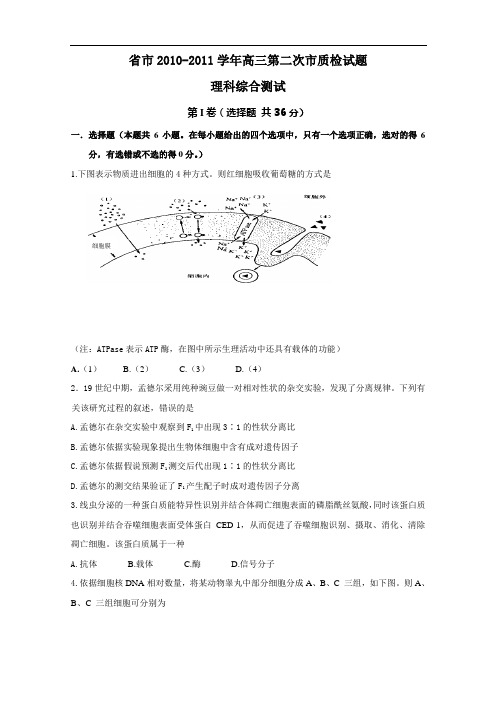 福建省泉州市2011届高三第二次市质检精彩试题(理综)word版