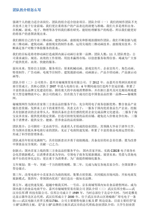 公司企业团队介绍范文
