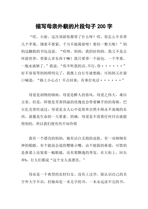 描写母亲外貌的片段句子200字