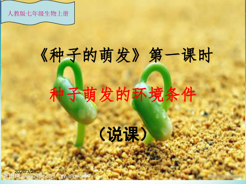 种子的萌发说课稿PPT课件