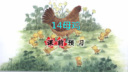 部编版四年级语文下册第14课《母鸡》精品课件(统编)