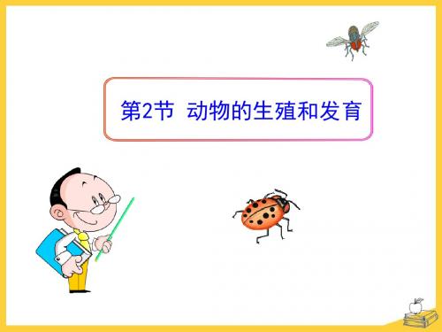 《动物的生殖和发育》PPT