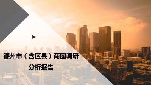 德州市(含区县)商圈调研分析报告