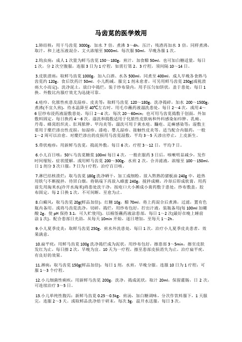 马齿苋的医学效用