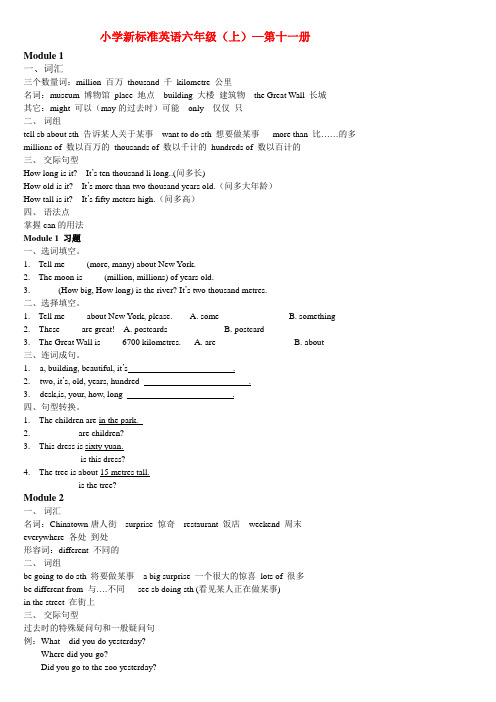 小学新标准第11册