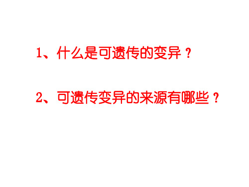 高二生物可遗传变异在育种上的应用(PPT)2-1
