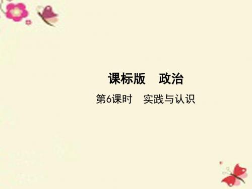 (新课标)2017版高考政治一轮复习 第二单元 探索世界与追求真理(第6课时)实践与认识课件(必修4