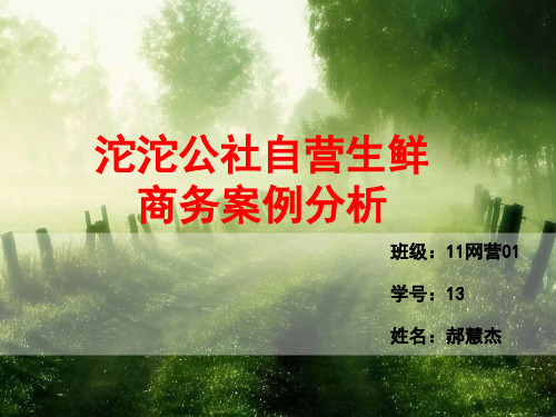 沱沱农业电商案例分析