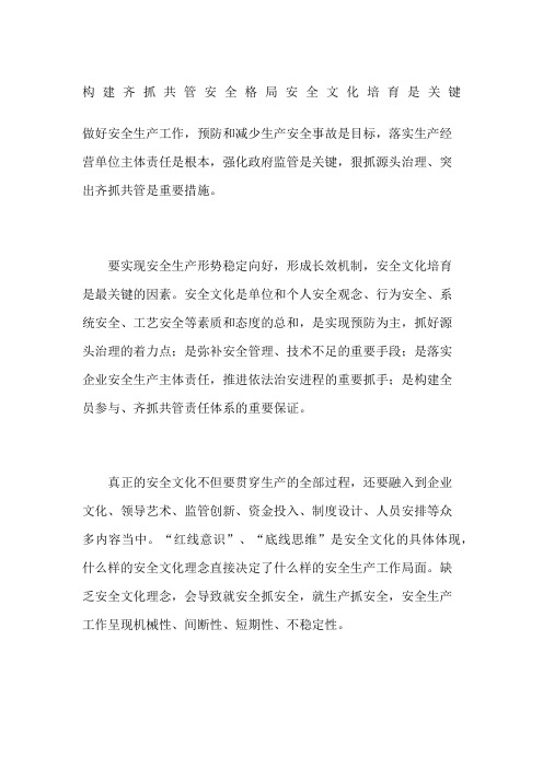构建齐抓共管安全格局安全文化培育是关键