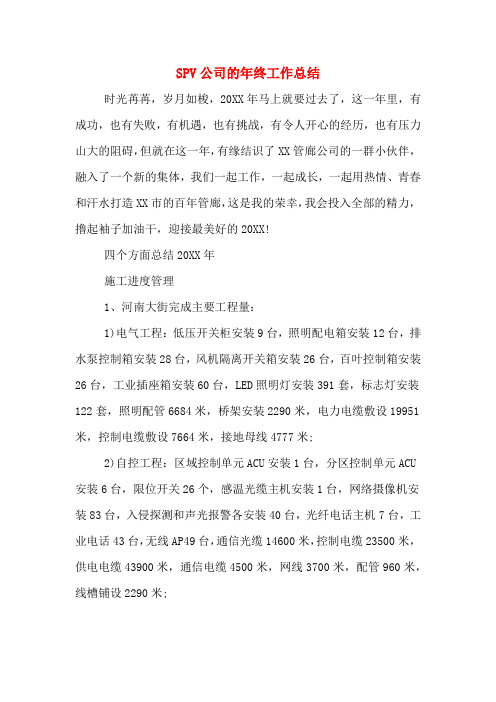 2019年SPV公司的年终工作总结