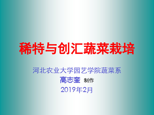 43多年生及杂类蔬菜-其它