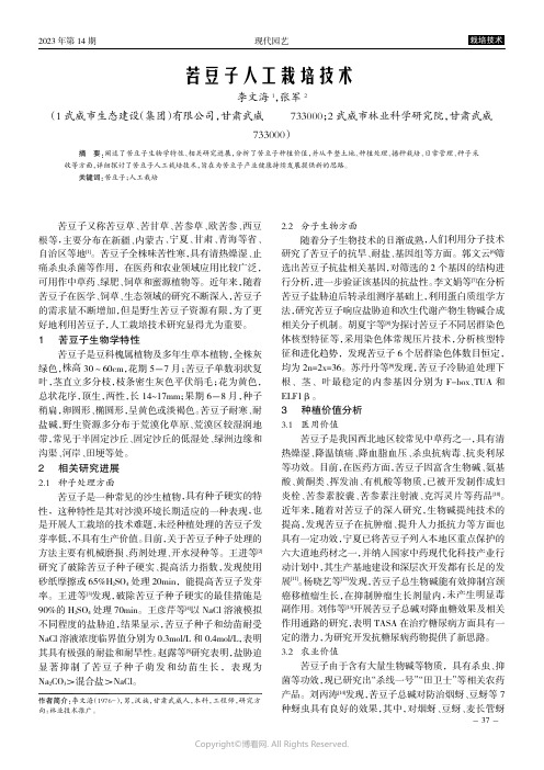 苦豆子人工栽培技术