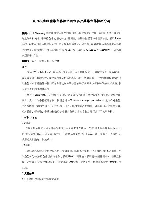 蚕豆根尖细胞染色体标本的制备及其染色体核型分析