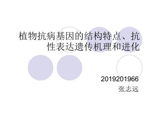植物抗病基因结构特点、遗传机理及进化-文档资料