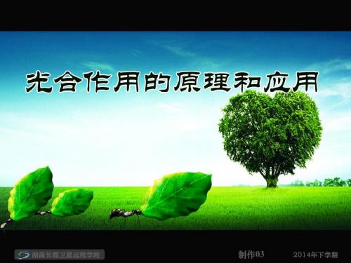 必修1第五章 第四节 能量之源——光与光合作用2