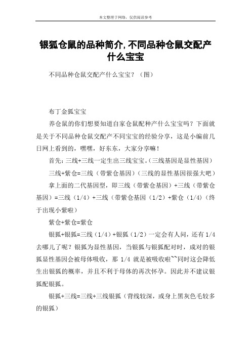 银狐仓鼠的品种简介,不同品种仓鼠交配产什么宝宝