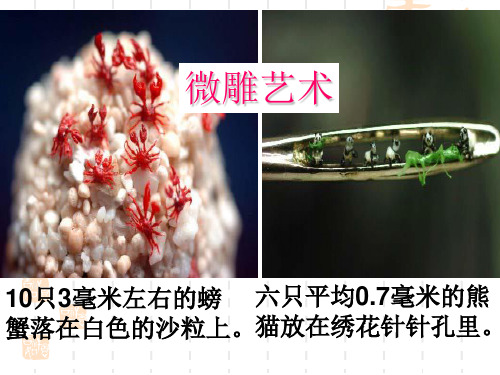 核舟记