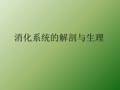 消化系统解剖生理ppt课件