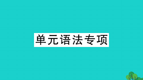 呼伦贝尔市一中七年级英语下册 Unit 12 What did you do last weeken