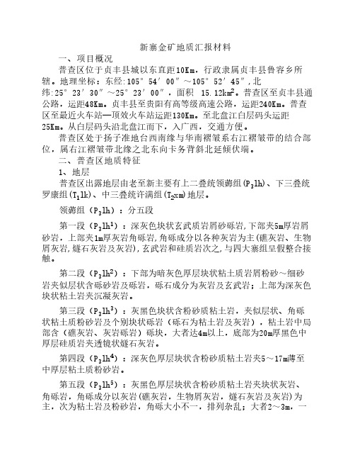 新寨金矿地质汇报材料