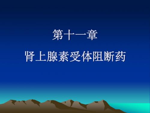 第11章 肾上腺素受体阻断药