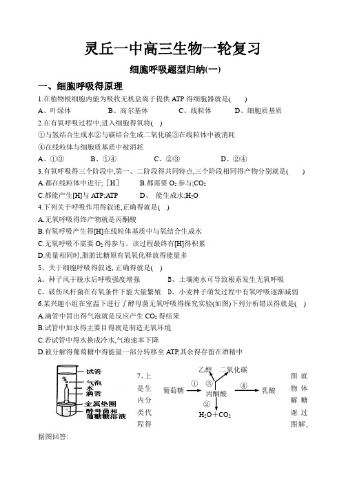 细胞呼吸题型归纳