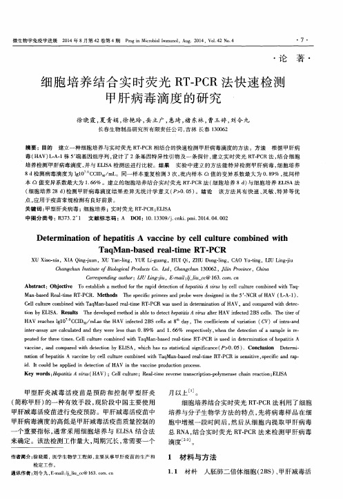 细胞培养结合实时荧光RT-PCR法快速检测甲肝病毒滴度的研究